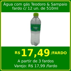 Água mineral com gás Teodoro & Sampaio 510ml