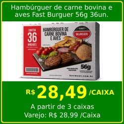 Hambúrguer de carne bovina e aves Fast Burguer 56g