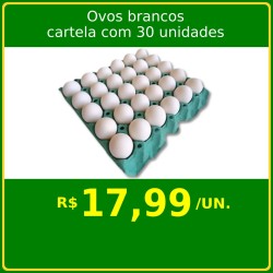 Ovos brancos cartela com 30 unidades