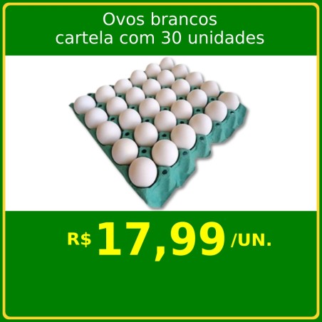 Ovos brancos cartela com 30 unidades