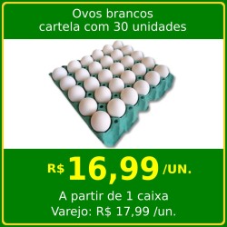 Ovos brancos cartela com 30 unidades