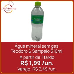 Água mineral sem gás Teodoro & Sampaio 510ml