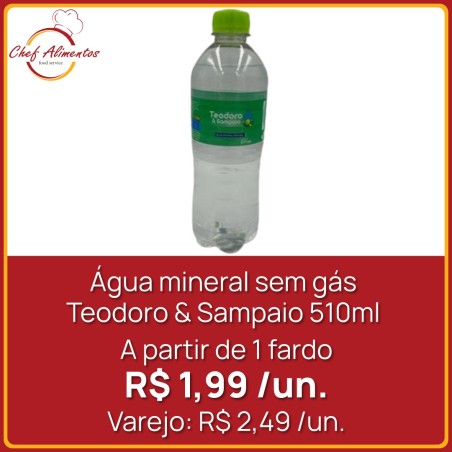 Água mineral sem gás Teodoro & Sampaio 510ml